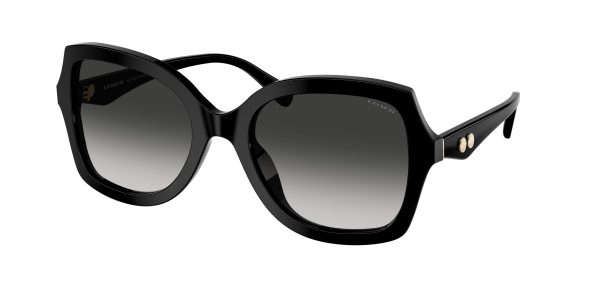 Coach Cw225 8410U Sunglasses Online Sale - Image 4