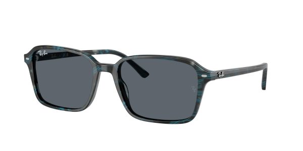 Ray-Ban Raimond 2231 Sunglasses Fashion